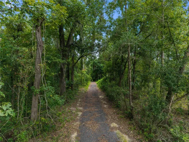 Walking Trail Shaded