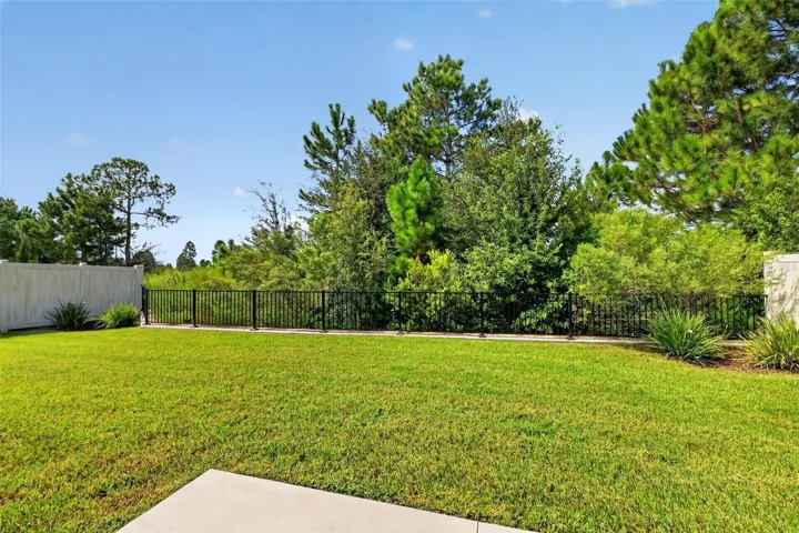 PRIVATE, ENCLOSED Rear Yard with Tranquil Eagle Preserve Views and ROOM FOR A POOL!