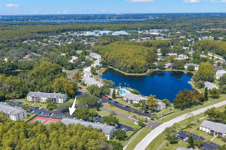 This wider view puts the location in perspective: preserve acreage, community lakes, and amenities surround the condo, while Tampa, Gulf beaches, and Lake Tarpon recreation are all within easy reach.