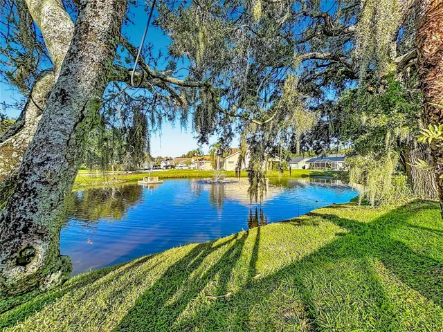 Pond Views with No Rear Neighbors