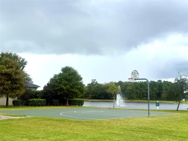 Basketball Court