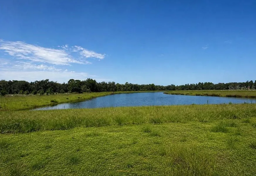 Take a free ferry to Hontoon Island State Park, 2 miles away. Fish, hike, kayak, bike, or camp.