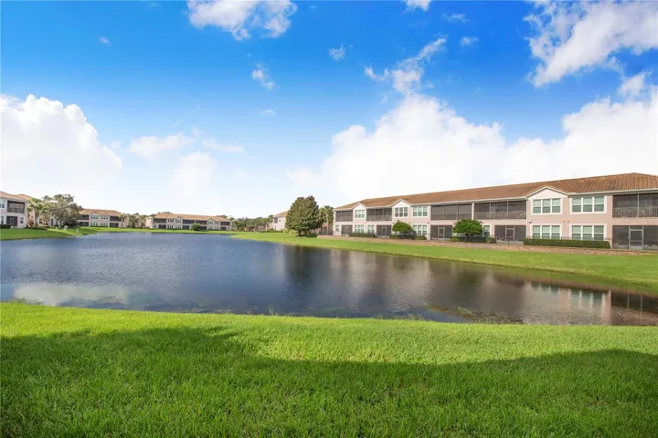 Pond View!