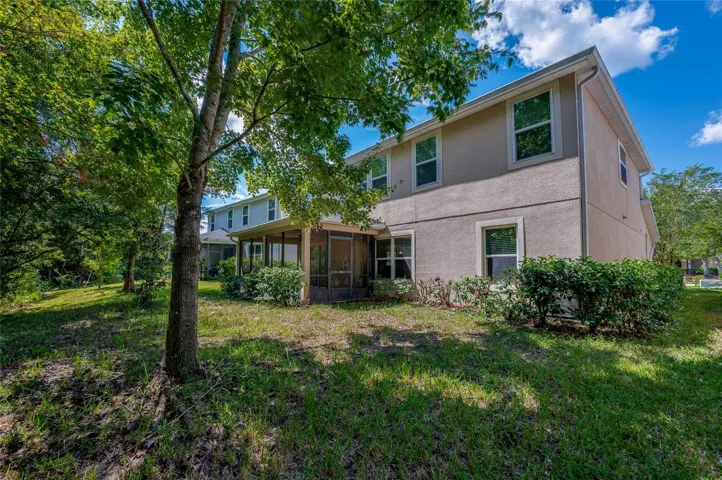 Rear yard