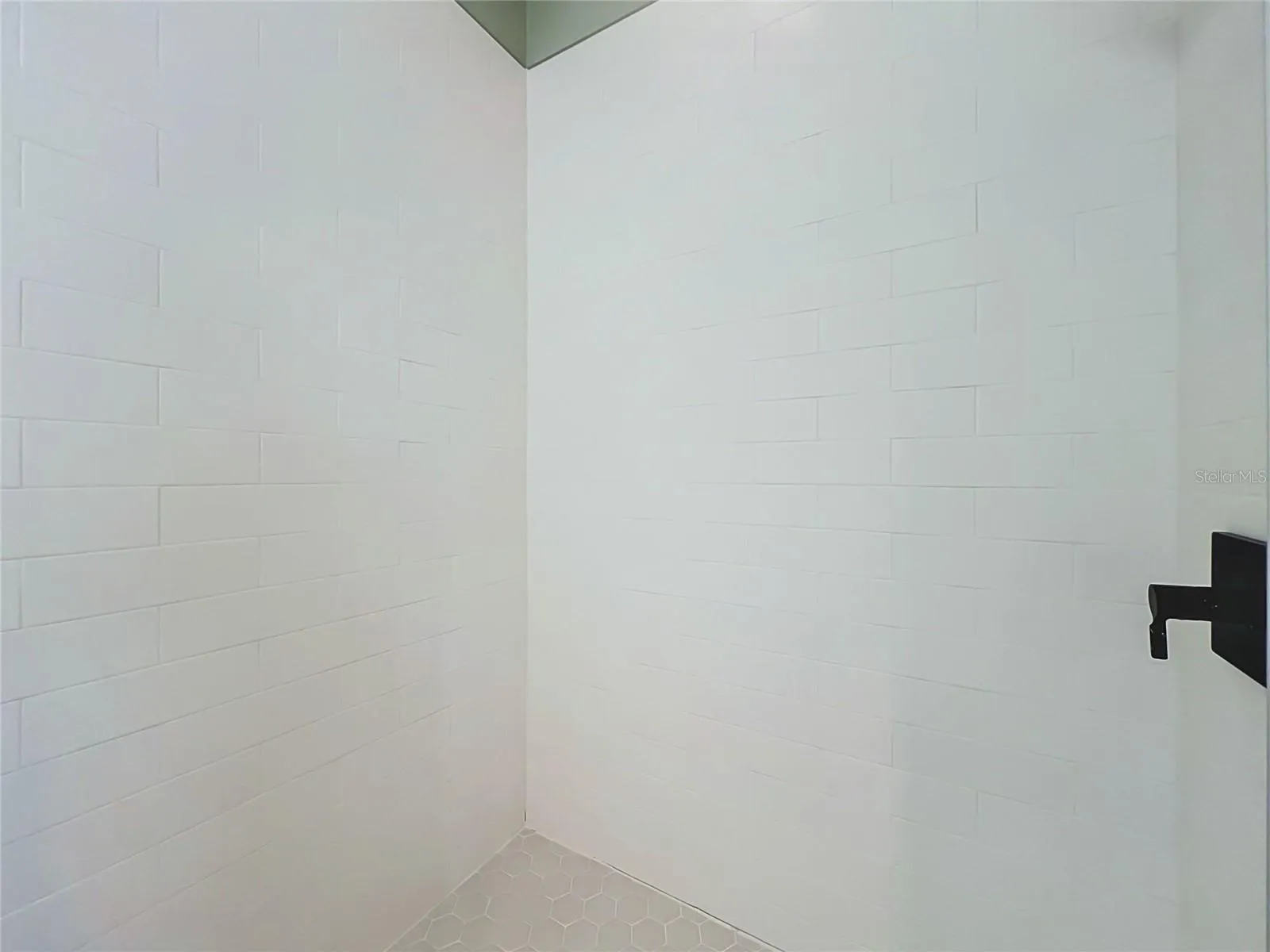 Master Shower
