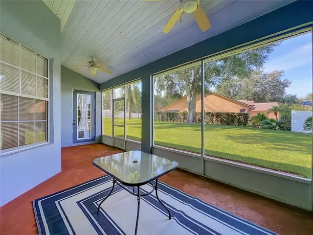 Back Patio