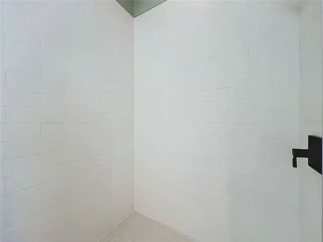 Master Shower