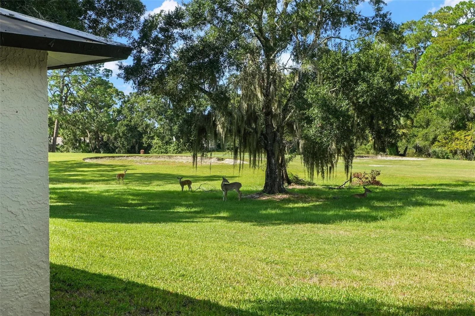 Deer are part of the scenery here, wandering beneath mature oaks draped in Spanish moss along the golf course. It’s a peaceful, distinctly Florida backdrop just beyond the condo’s outdoor living space.