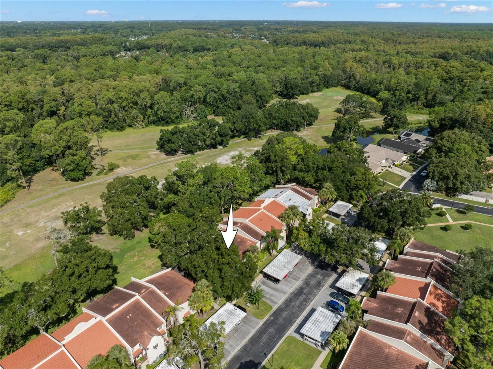 Tarpon Woods sits among mature trees with the golf course stretching along the community’s edge. Covered parking is positioned close to the residences, while the low-rise layout and generous green space give the neighborhood an open, established feel.