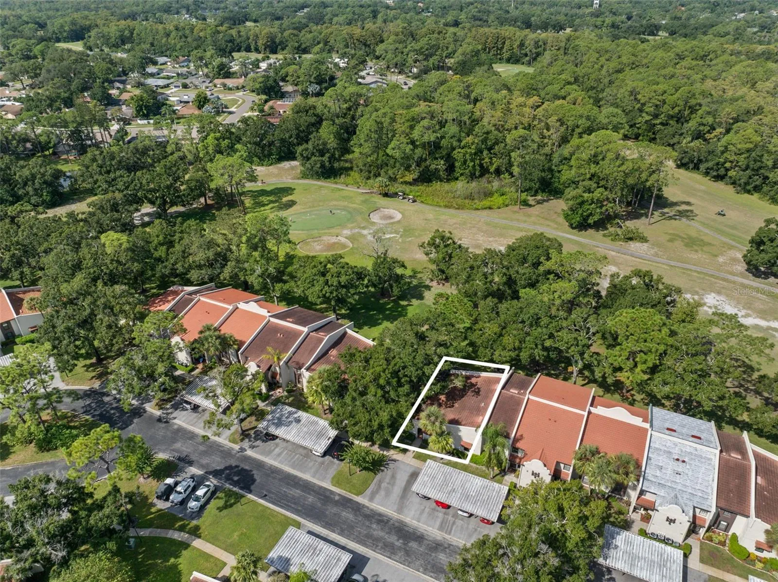 Tarpon Woods is tucked beside the golf course, with mature trees and broad green space surrounding the low-rise residences. Covered carports sit close to the buildings, with additional parking nearby for residents and guests.