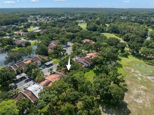 Tarpon Woods is surrounded by mature trees, ponds, and open golf-course acreage, giving the community a greener, less crowded feel than many condo settings. The low-rise buildings are grouped along quiet interior drives with covered parking close to the residences.