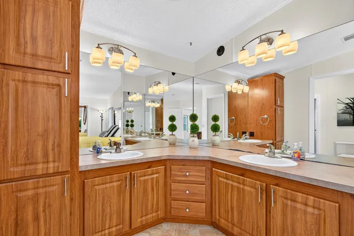 Master bathroom area