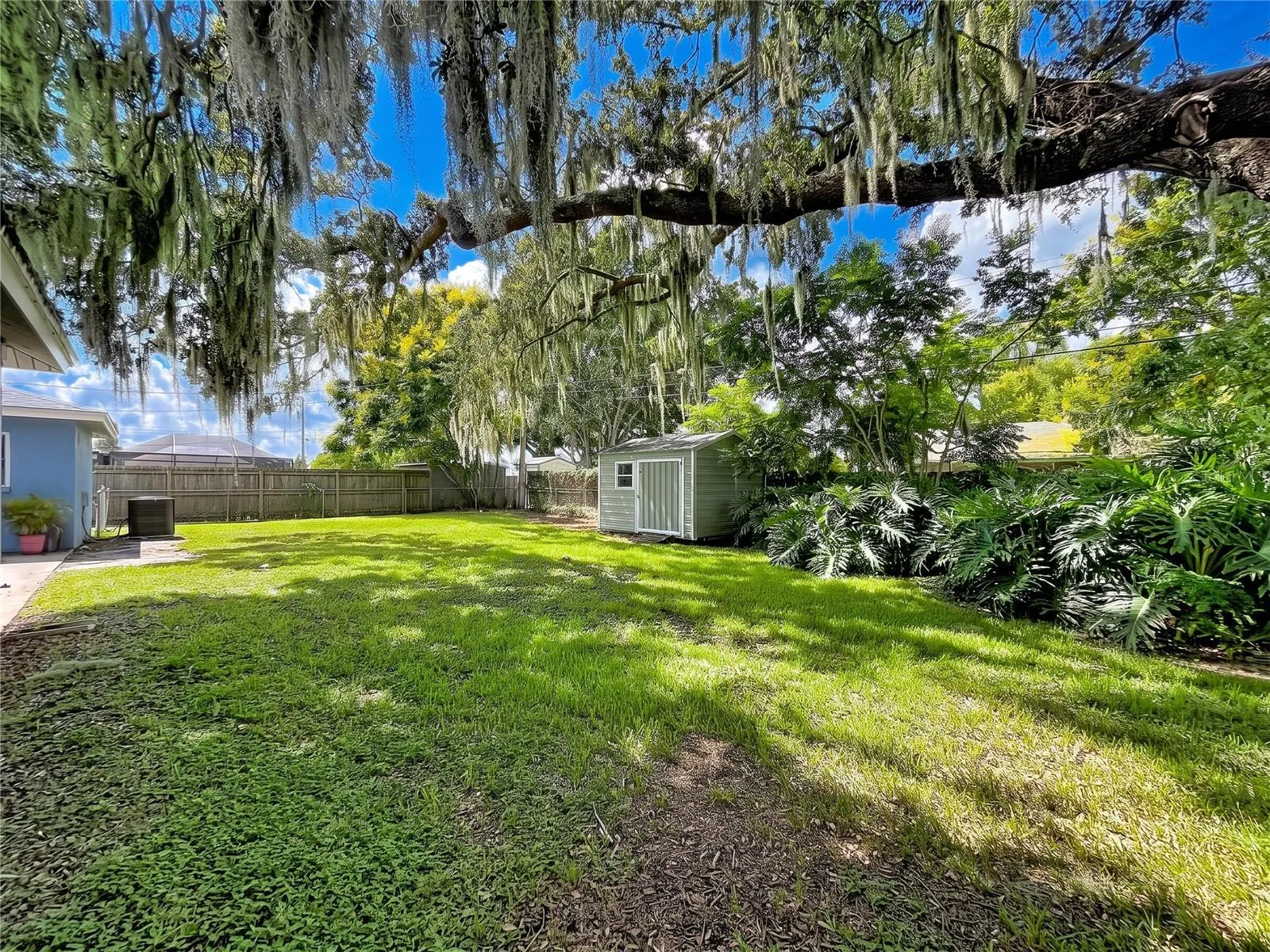 Back yard and storage shed