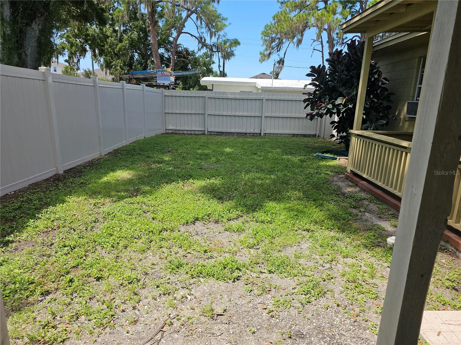 back yard