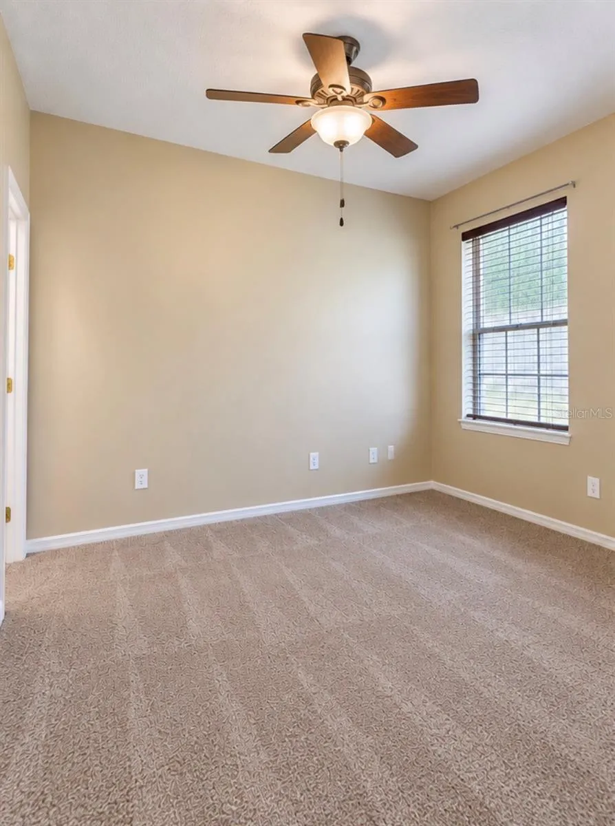 Downstairs bedroom