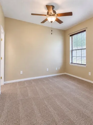 Downstairs bedroom