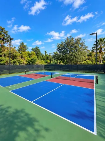 Community Pickle Ball Courts