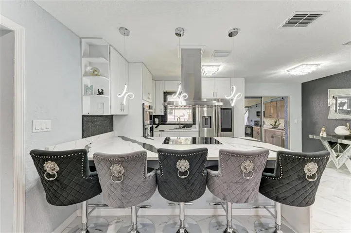 Modern Kitchen