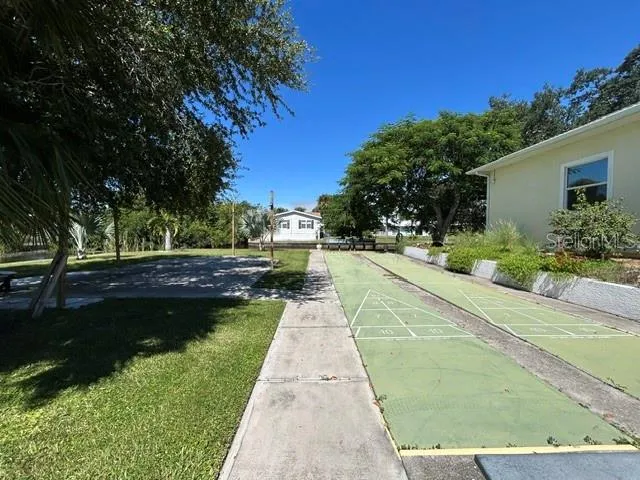 shuffleboard