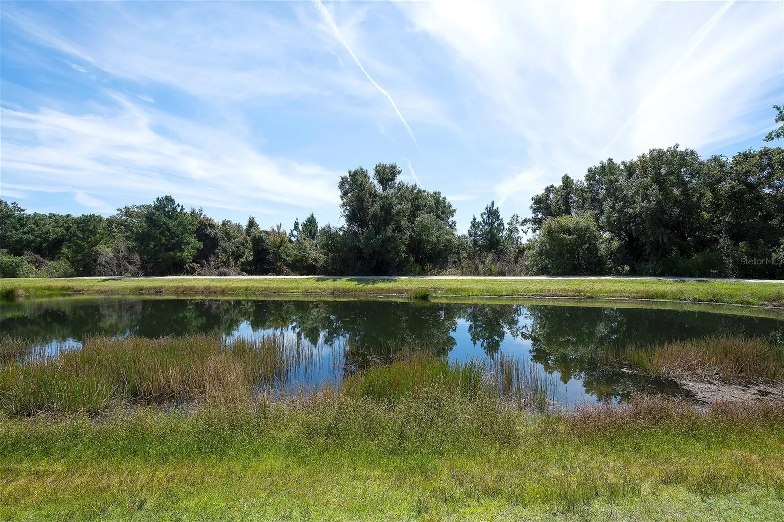 Pond, walking trail, and preserve
