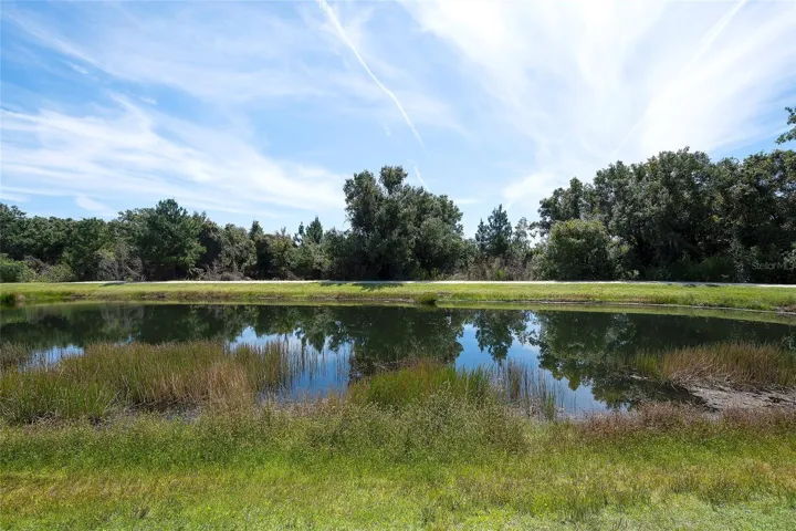 Pond, walking trail, and preserve