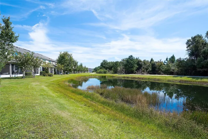 The pond and walking trail behind