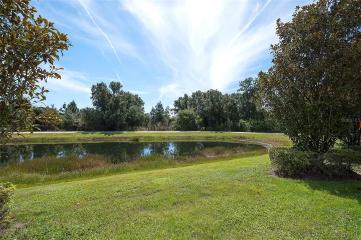 The pond and preserve view