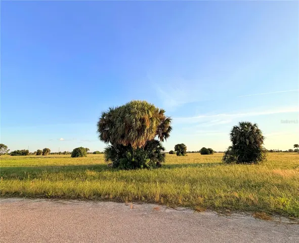 Front of lot