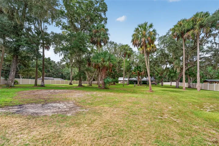 Back yard