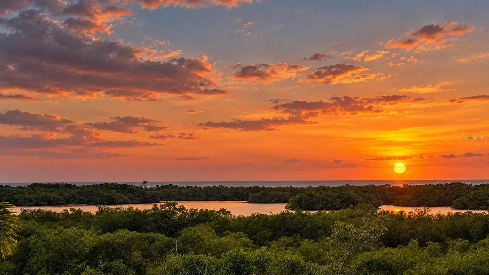 Panoramic rooftop views provide a spectacular vantage point for sunsets over Little Sarasota Bay.