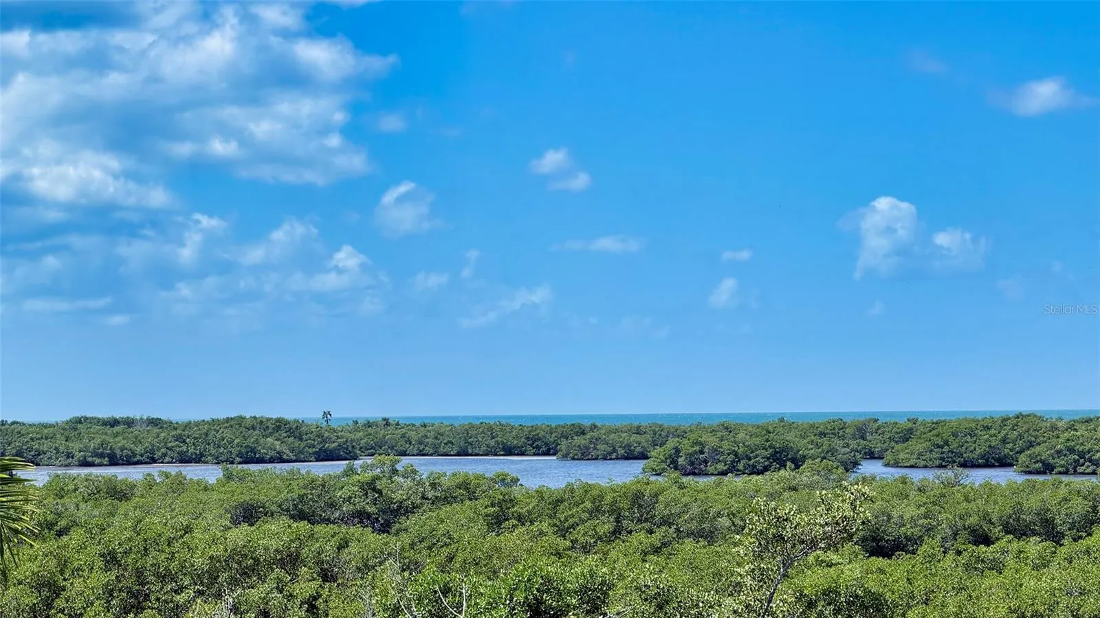 Elevated views extend across the lush coastal landscape toward the waters of Little Sarasota Bay.