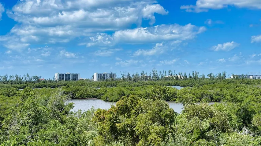 The rooftop vantage point captures the remarkable natural beauty surrounding this unique residence.