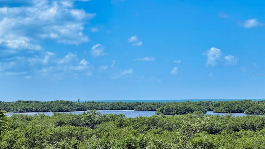 Elevated views extend across the lush coastal landscape toward the waters of Little Sarasota Bay.