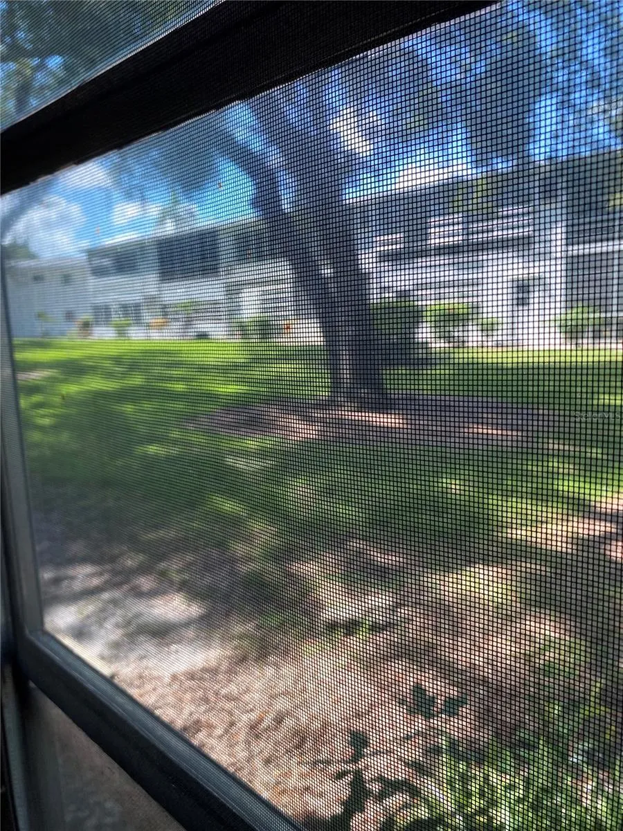 View from porch.