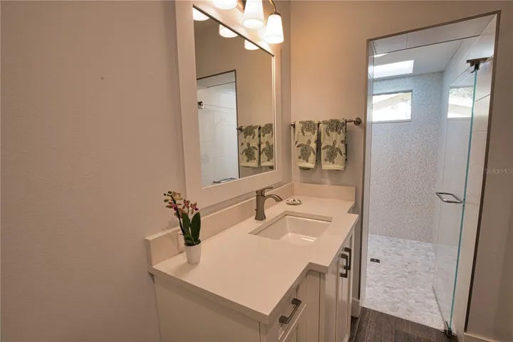 Guest Bath with Sky Light