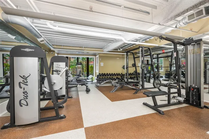 Gym