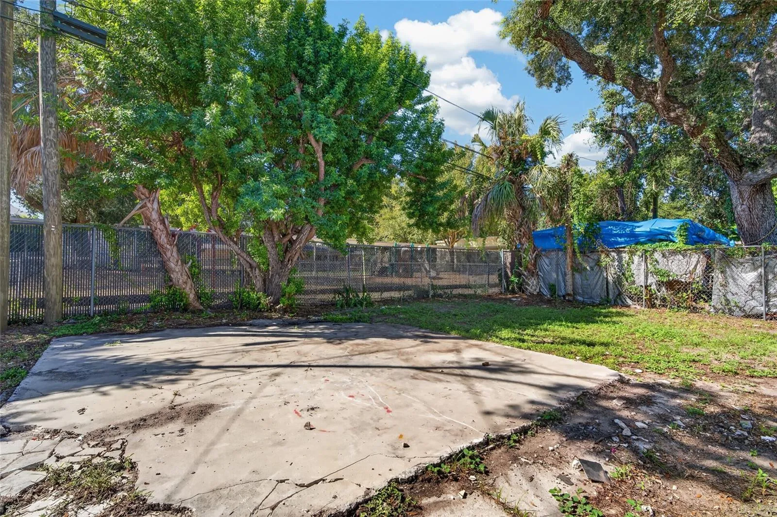 Back Yard