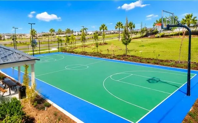 Meet friends for a game of basketball