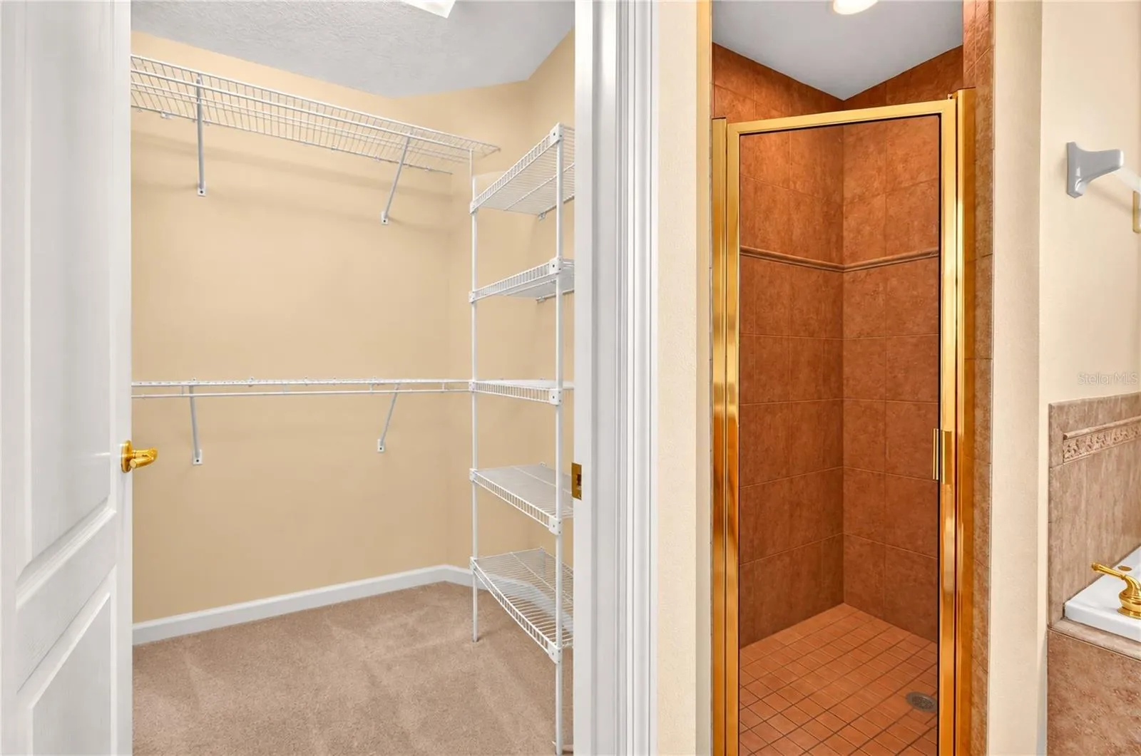 Large walk-in closet