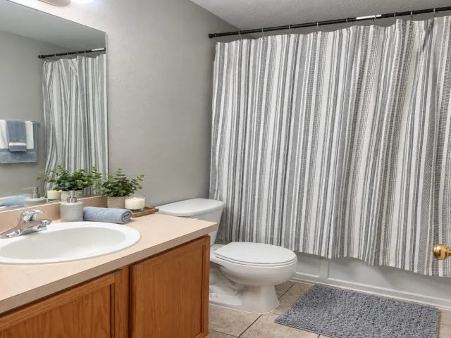 Virtually Staged - Primary Bath