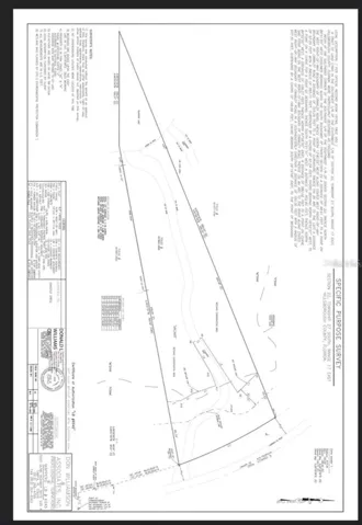 Prior survey before dock was built