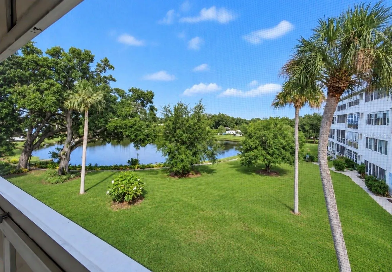 View from back patio