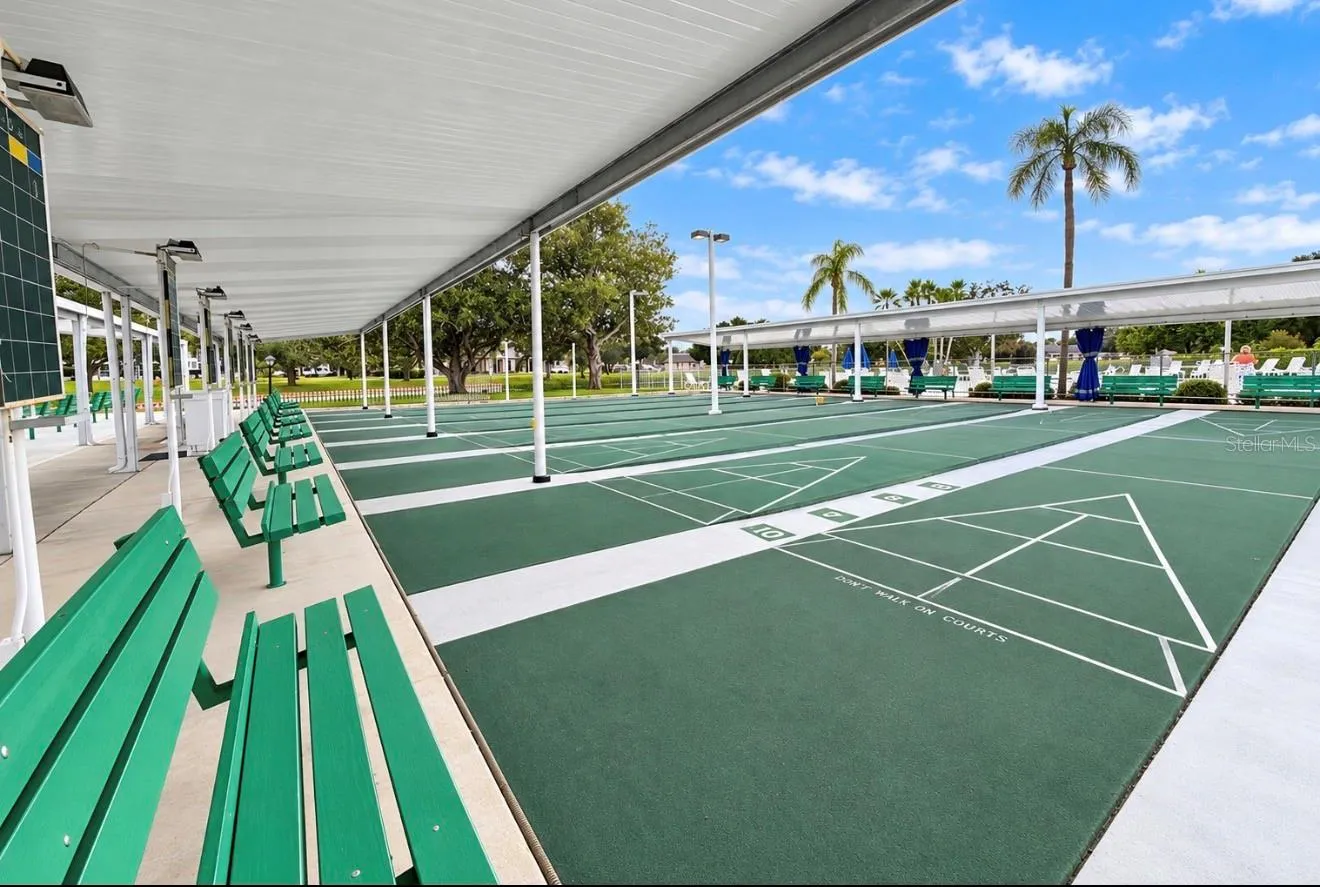 Shuffleboard