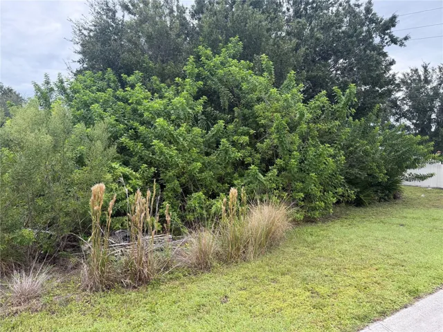 Front of Lot