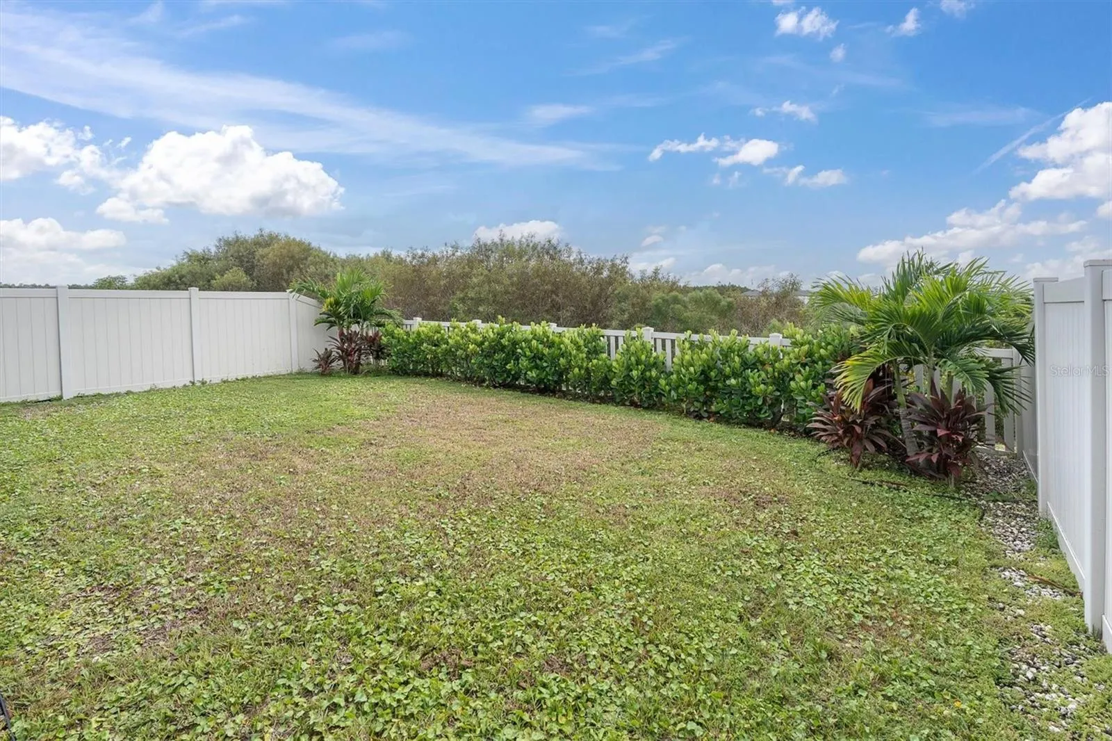 Fenced in Backyard
