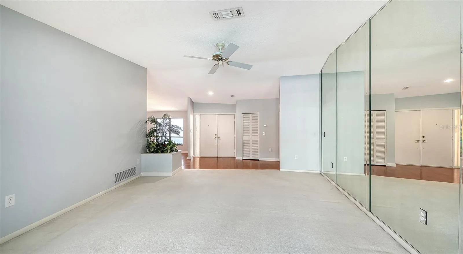 Living Room and Foyer