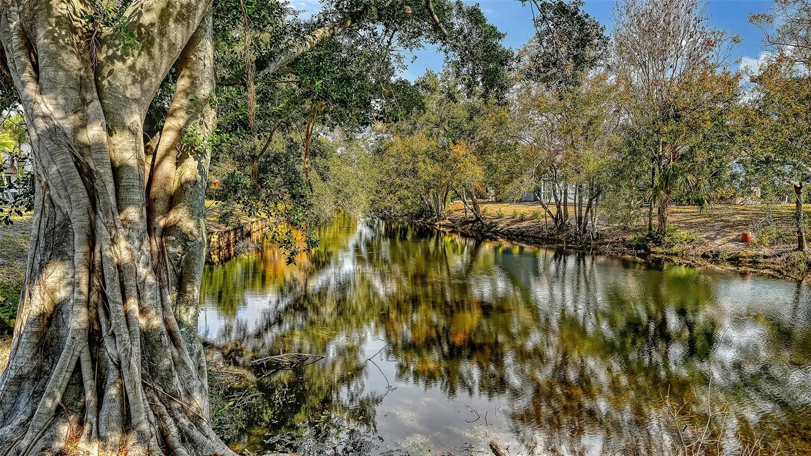 Spring-Fed Lake