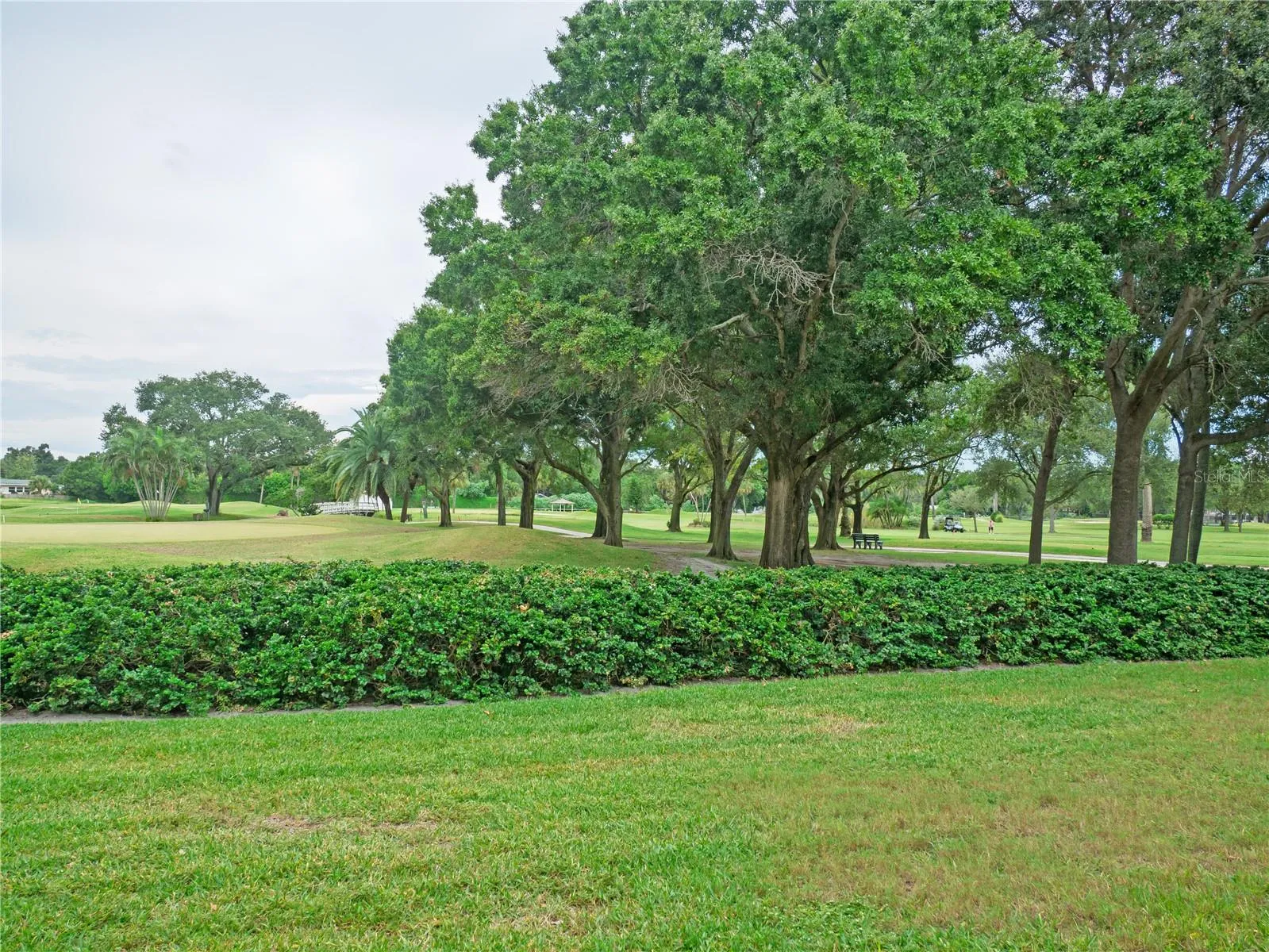 View of the Golf Course