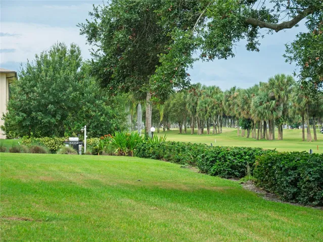 BBQ Area in Backyard