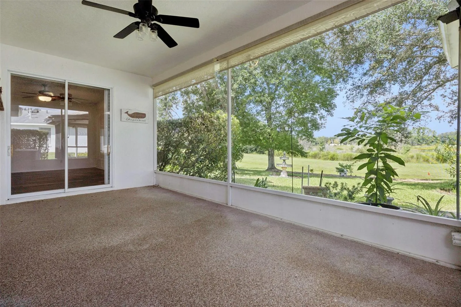 Rear patio